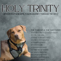 3:0 The Throne and the Shepherd (Hip-Hop/Rap/Gospel Fusion)
