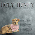 5:0 Divine Beginnings (Hip-Hop/Rap/Gospel Fusion)