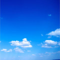 Wish