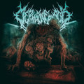 Ascension Through Dissection (LP)