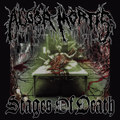 STAGES OF DEATH