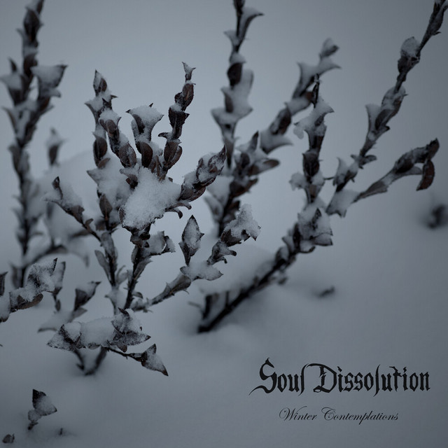 Winter Contemplations