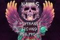 Psyprog, Techno, Psytrance
