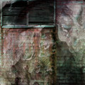 Return to the Scarred House