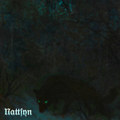 Nattsyn
