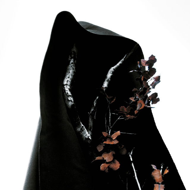 BLACK EARTH