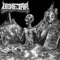 Bonetar Demo