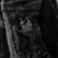 Clavicula Salomonis split w/ Platinum Collar