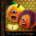 Wrong Shade Of Orange (Demo)