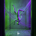Chrome Veins EP
