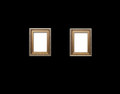 Frame Yourself (demos)