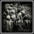 Corpses
