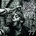 77