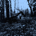 "HermitOfTheGrove" LP