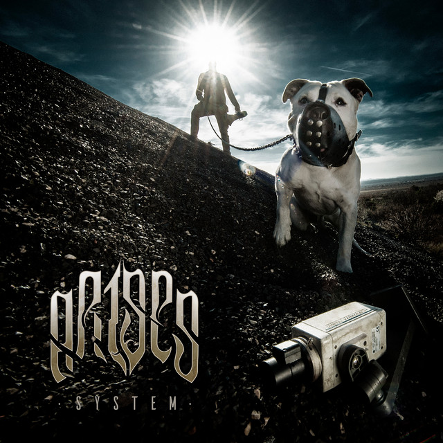System