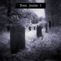 drone session 4 (interim XIII)