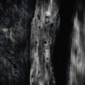 The Hum