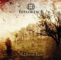 Shades of Fate