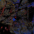 i live eternal #redux (archive)