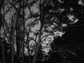 Final Rain (2006)