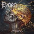 Amygdala