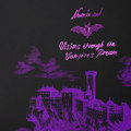 Visions through the Vampire's Dream