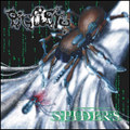 Spiders