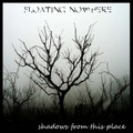 Shadows From This Place