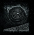 Void of Primitive Howls - Split W/ Fleam
