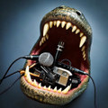 Crocodile Grin