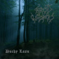 Duchy lasu