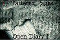 Opend Diary I