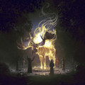 Moose Cult