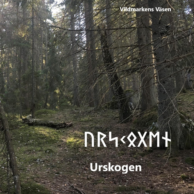 Vildmarkens Väsen
