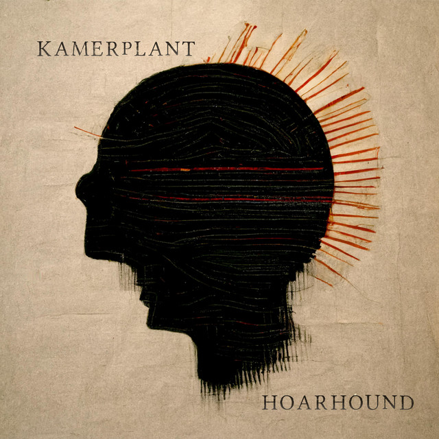 Kamerplant