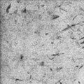 "2" (ESKER05)