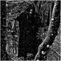 In the Grasp of the Devouring Absence