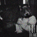LOFI DREAMS