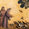 The Flowers of St. Francis