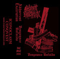Vengeance Unfolds