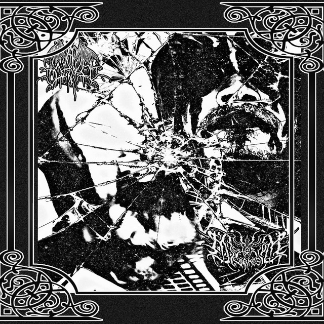 Drape / Mysterivm Xarxes Split