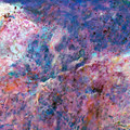 Lilium EP