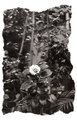 II