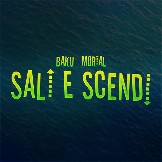 Sali e Scendi
