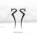 Side Stories