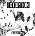 Seething