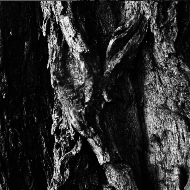 Split with von jeglichem Wort