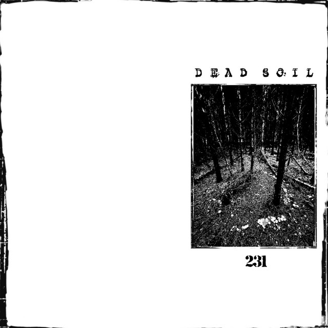 231