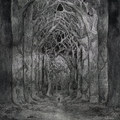 Within The Darkness Between The Starlight