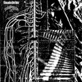 Split w/ Disforija